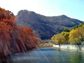 管家婆免费正版资起大全，生产地垫厂家